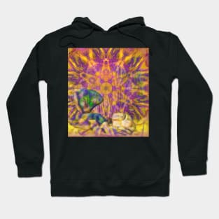 Balancing rock in psychedelic landscape Hoodie